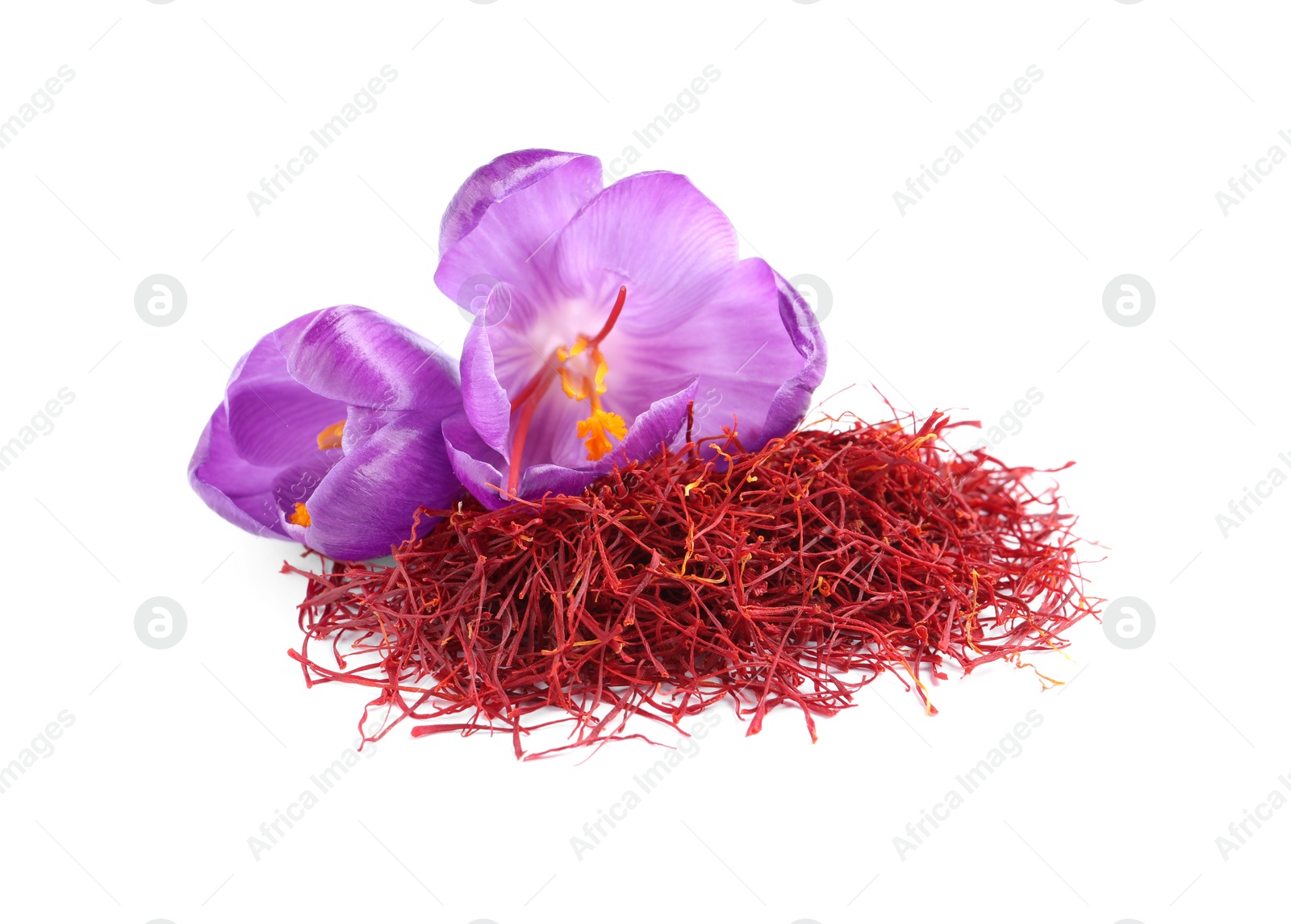 Photo of Pile of dried saffron and crocus flowers on white background