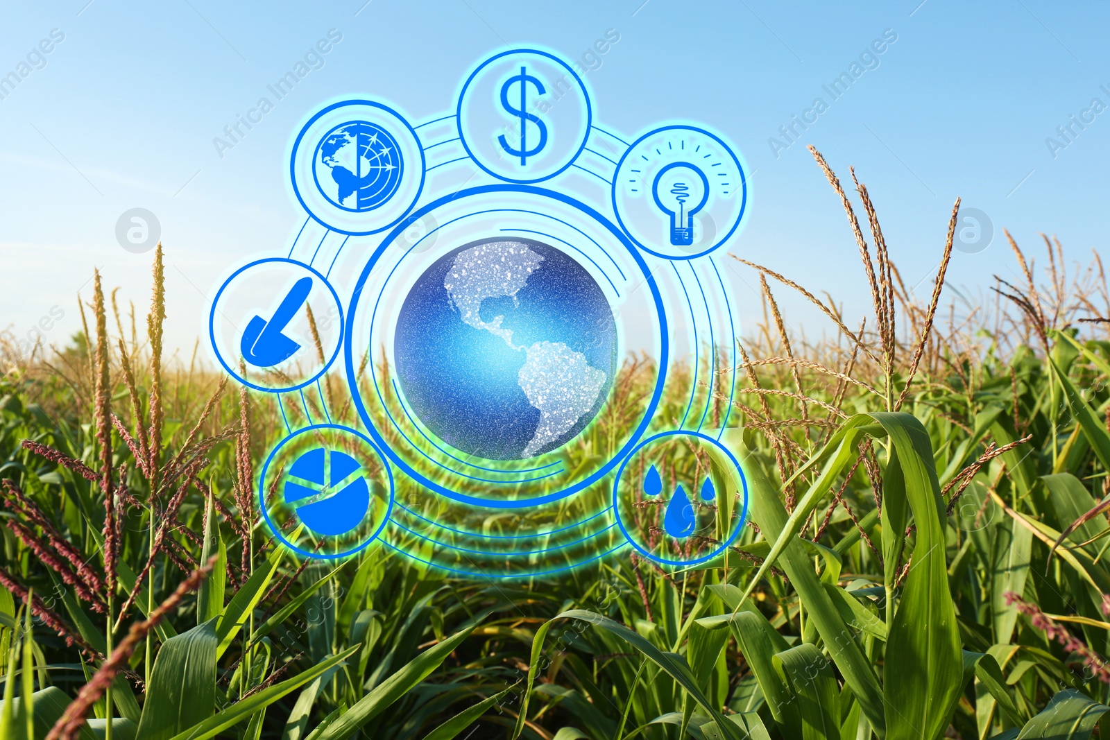 Image of Modern agriculture concept. Icons and field on background