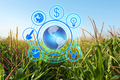 Image of Modern agriculture concept. Icons and field on background