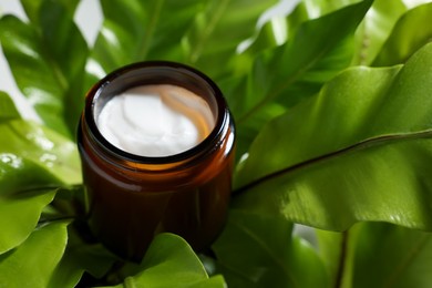 Open jar of luxury cream on green leaves