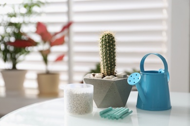 Beautiful tropical cactus plant in pot, watering can and fertilizers on table indoors, space for text. House decor
