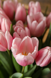 Closeup view of beautiful pink spring tulips