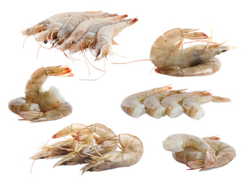 Image of Set of fresh raw shrimps on white background