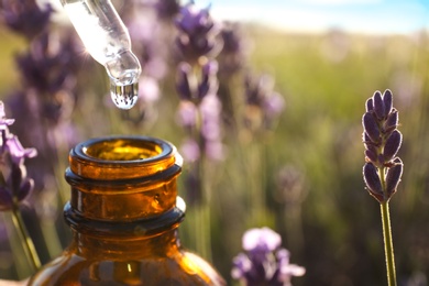 Photo of Dropper with lavender essential oil over bottle in field, closeup. Space for text