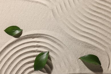 Photo of Beautiful patterns and leaves on sand, top view. Zen garden