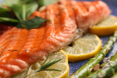 Photo of Tasty grilled salmon with lemon and spices on plate, closeup