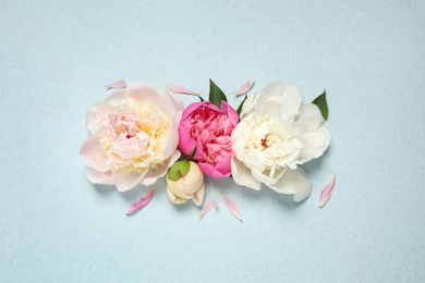 Photo of Beautiful fresh peonies on light blue background, flat lay