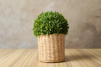 Photo of Beautiful artificial plant in wicker flower pot on wooden table