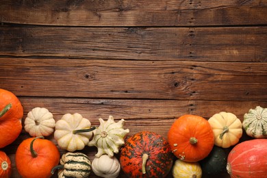Photo of Different fresh ripe pumpkins on wooden table, flat lay. Space for text