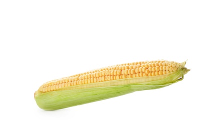 Photo of Tasty sweet corn cob on white background