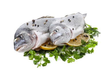 Photo of Raw dorado fish, parsley, lemon slices and peppercorns isolated on white