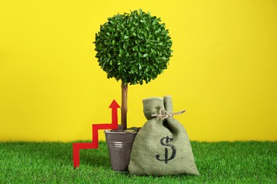 Photo of Bag with money, up arrow and tree against yellow background. Profit concept