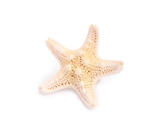 Photo of Beautiful sea star (starfish) isolated on white