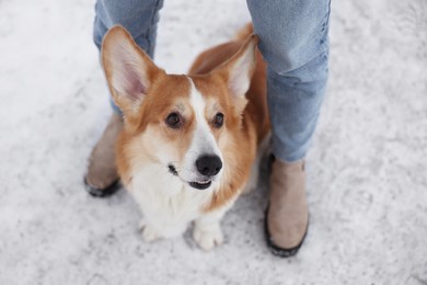 Photo of Woman with adorable Pembroke Welsh Corgi dog on snow, above view