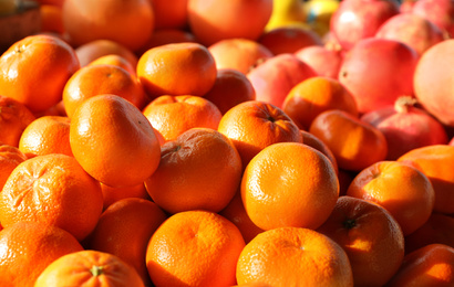 Photo of Fresh ripe fruits on counter at wholesale market
