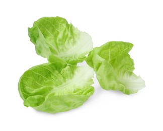 Fresh green butter lettuce leaves isolated on white