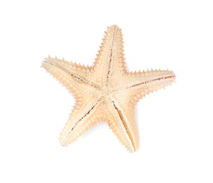 Photo of Beautiful sea star isolated on white, top view. Beach object