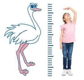 Image of Little girl measuring height and drawing of ostrich on white background