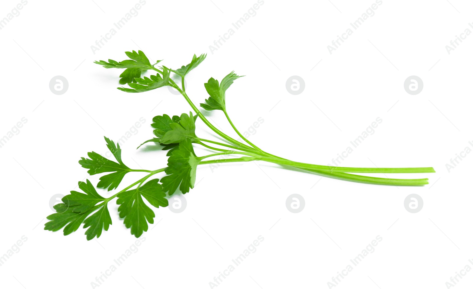 Photo of Leaves of fresh tasty parsley on white background