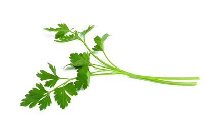 Leaves of fresh tasty parsley on white background