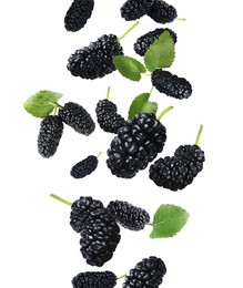 Fresh ripe black mulberries and green leaves falling on white background