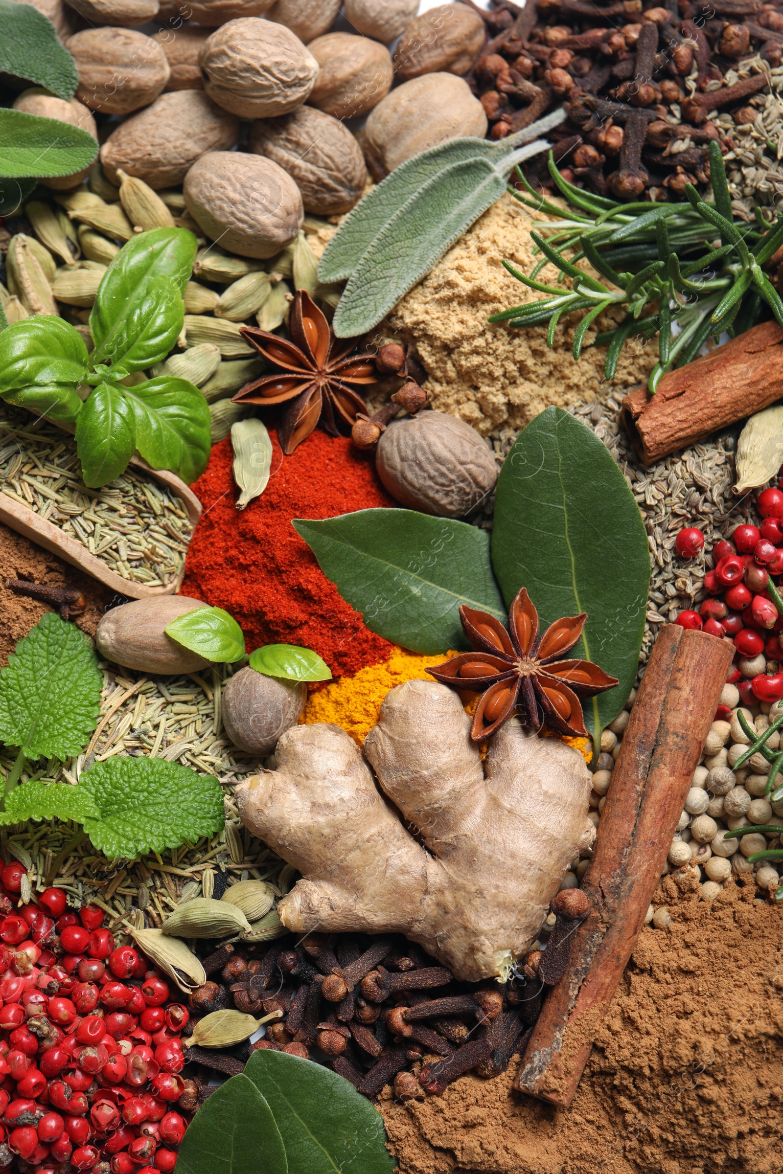 Photo of Different fresh herbs with aromatic spices as background, top view