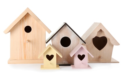 Many different bird houses on white background