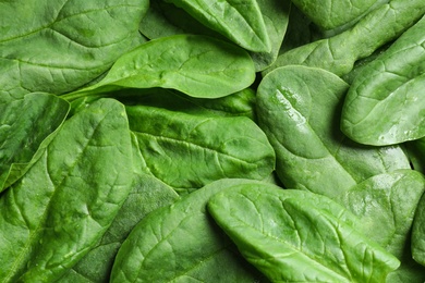 Fresh green healthy spinach as background, closeup view