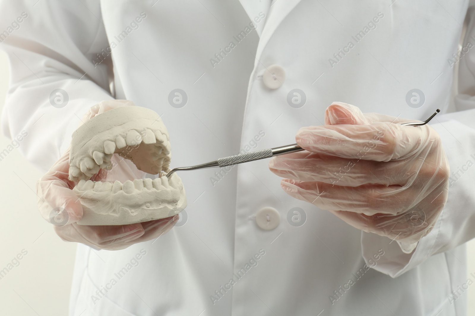 Photo of Doctor holding dental model with jaws and tool on white background, closeup. Cast of teeth