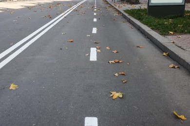 Photo of Bicycle lane painted on asphalt in city