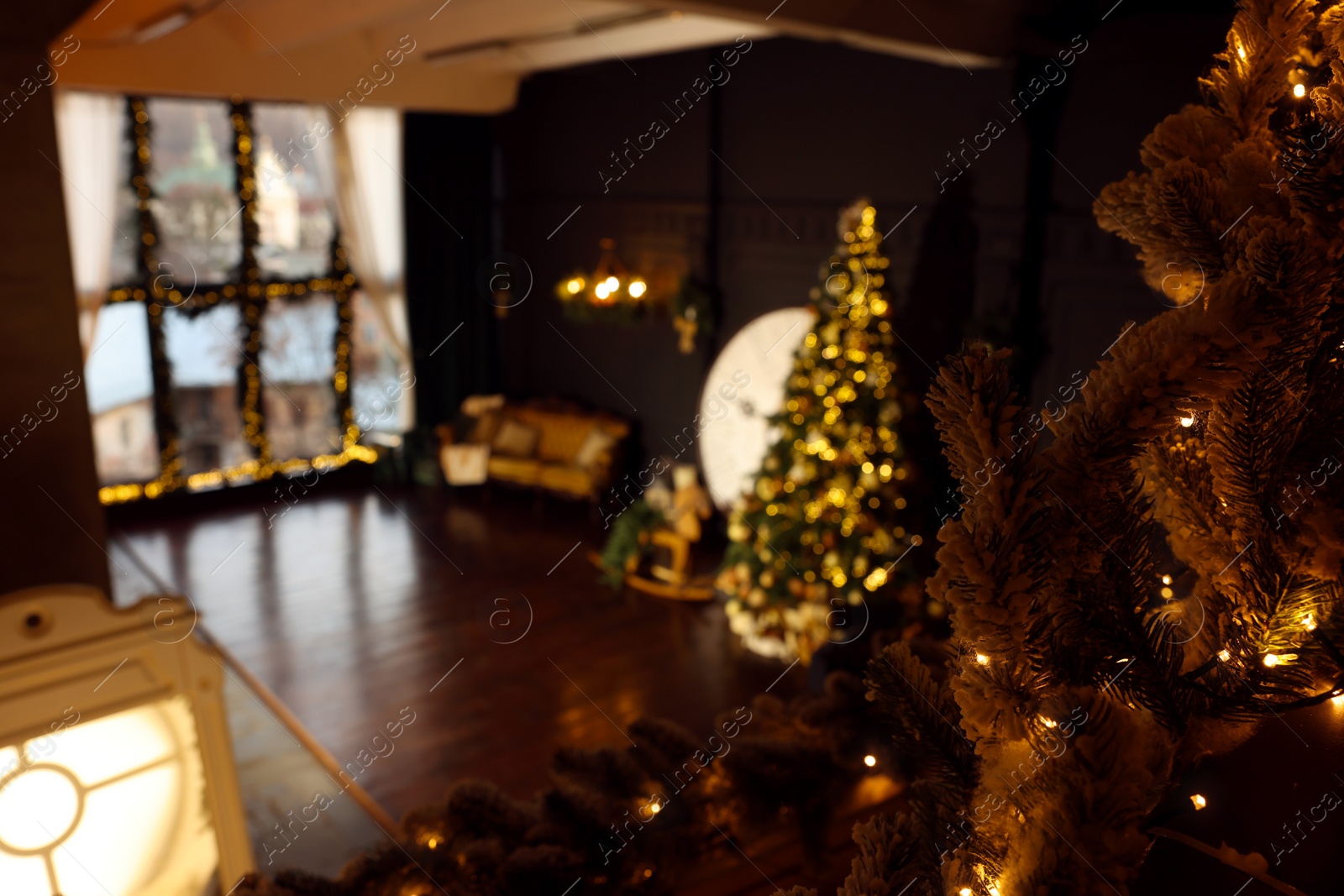 Photo of Fir tree branch decorated with festive lights in room, space for text. Interior design