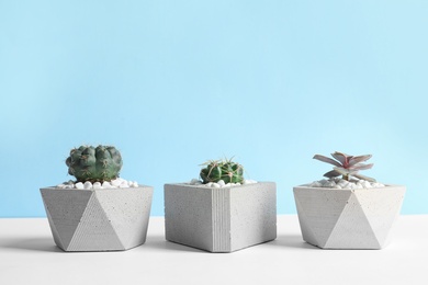Photo of Beautiful succulent plants in stylish flowerpots on table against blue background, space for text. Home decor