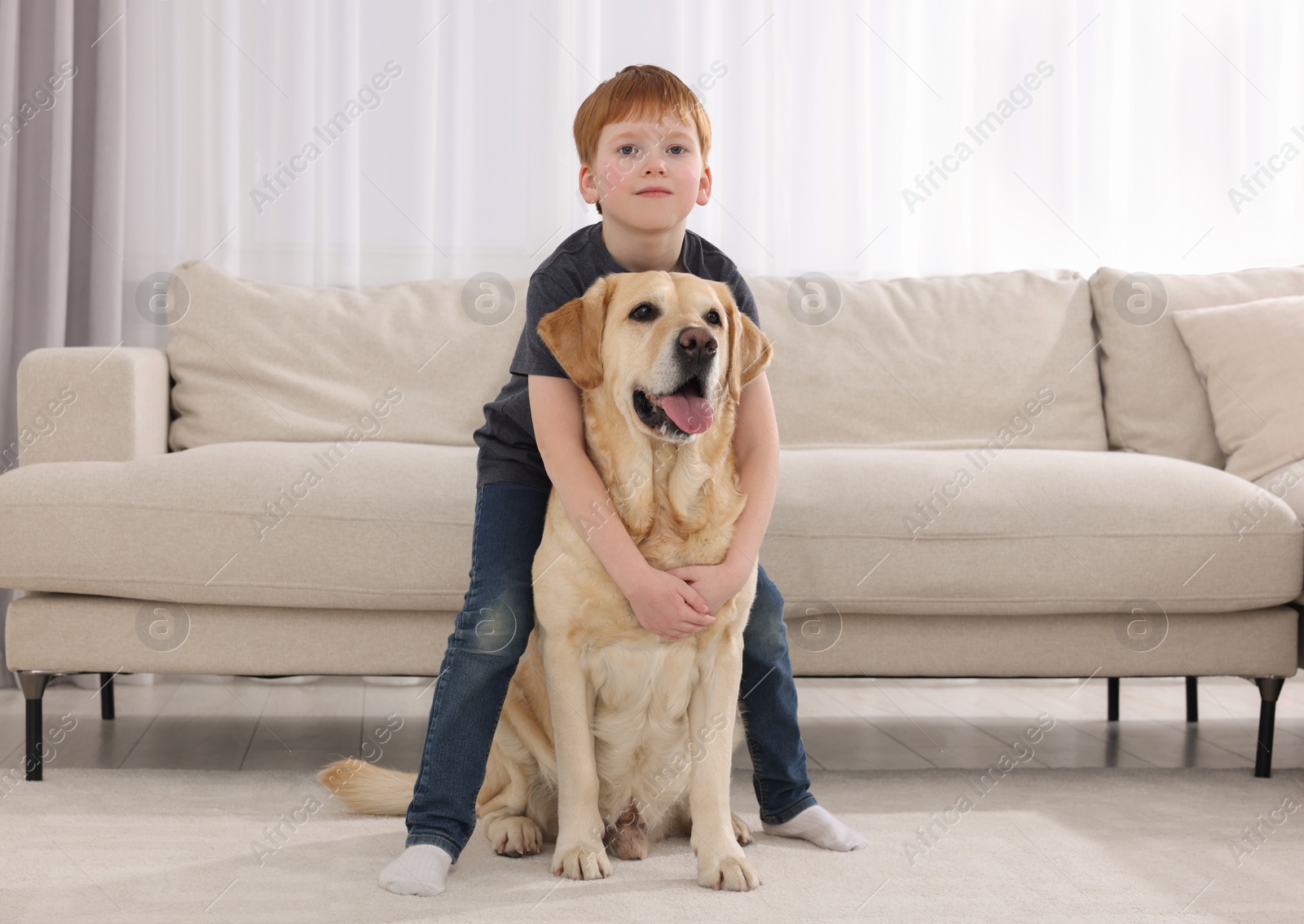 Photo of Cute child with his Labrador Retriever at home. Adorable pet