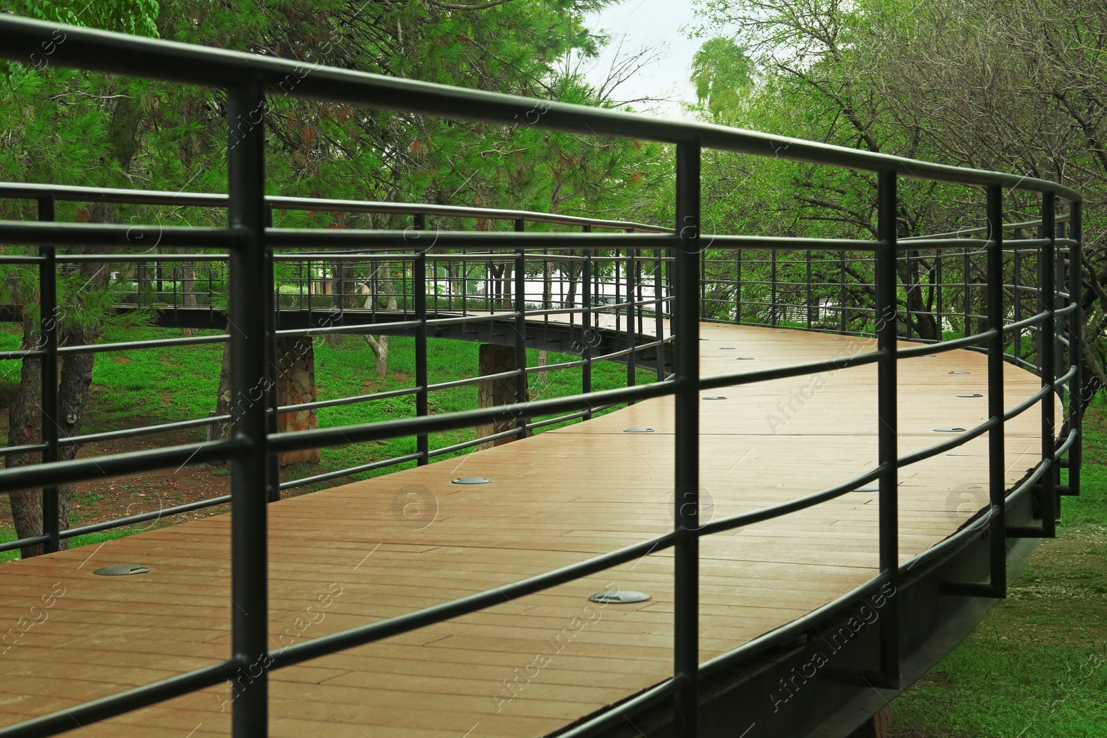 Photo of Beautiful pathway with metal handrails in park near trees