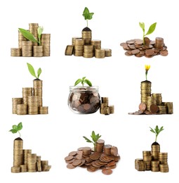 Image of Set with jar, coins and growing plants on white background. Successful investment