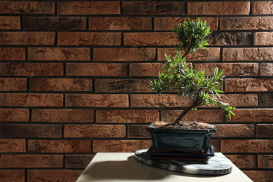 Japanese bonsai plant on table near brick wall, space for text. Creating zen atmosphere at home