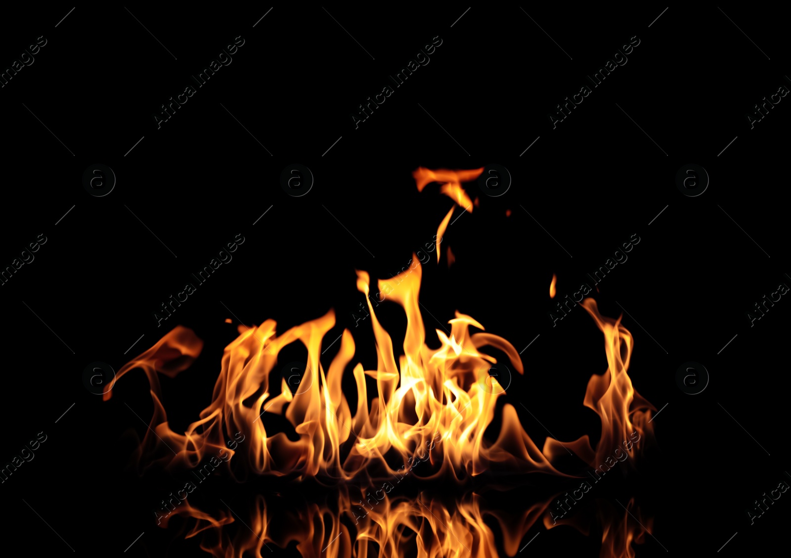 Photo of Beautiful bright fire flames on black background