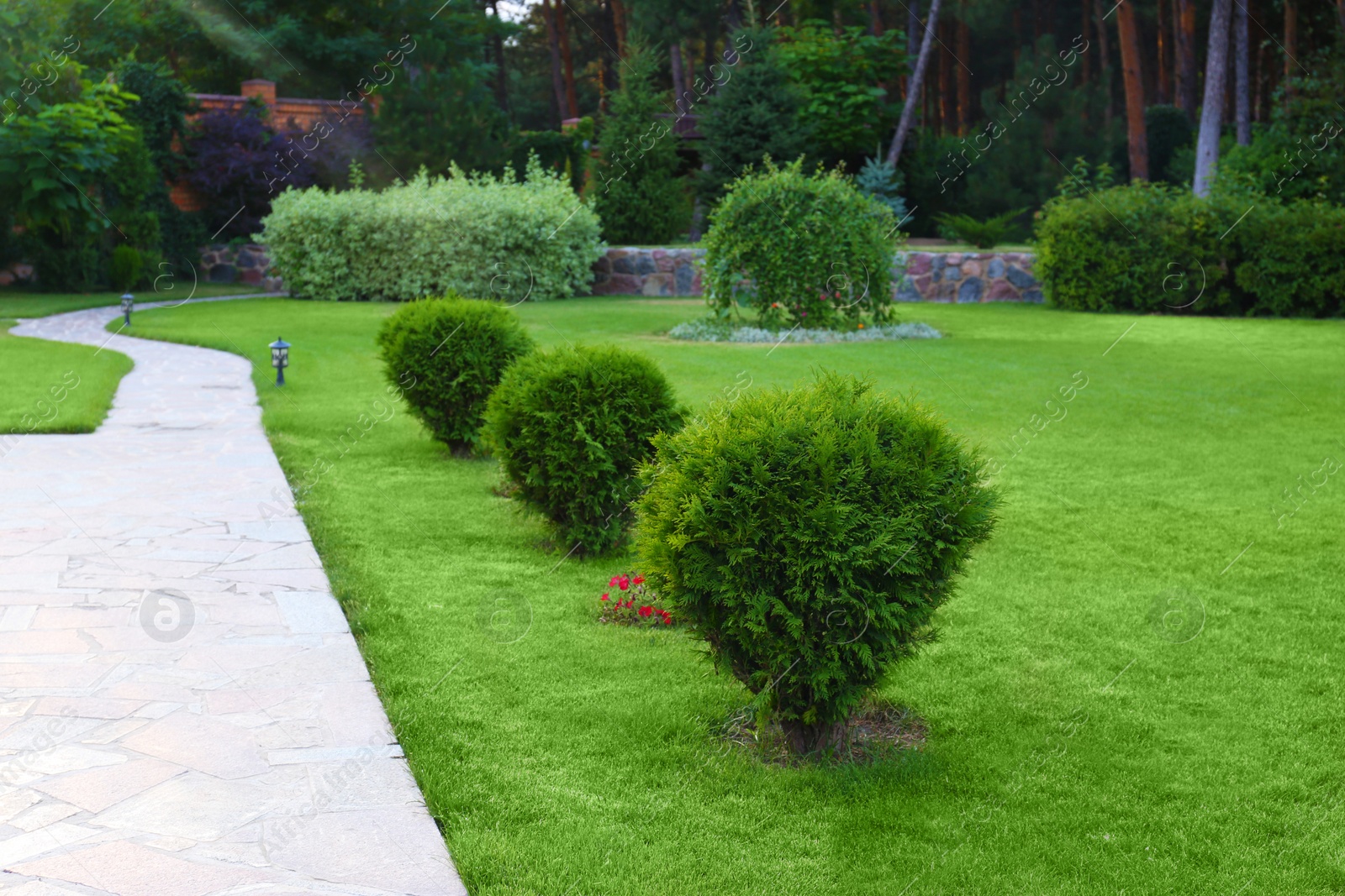 Photo of Picturesque landscape with beautiful green garden on summer day