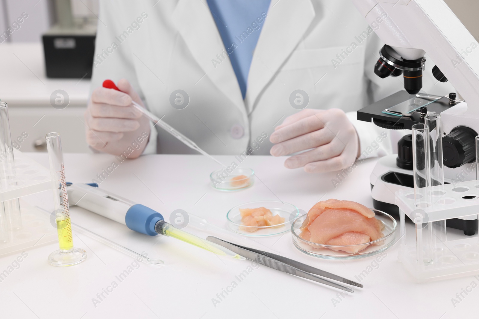 Photo of Quality control. Food inspector examining meat in laboratory, closeup