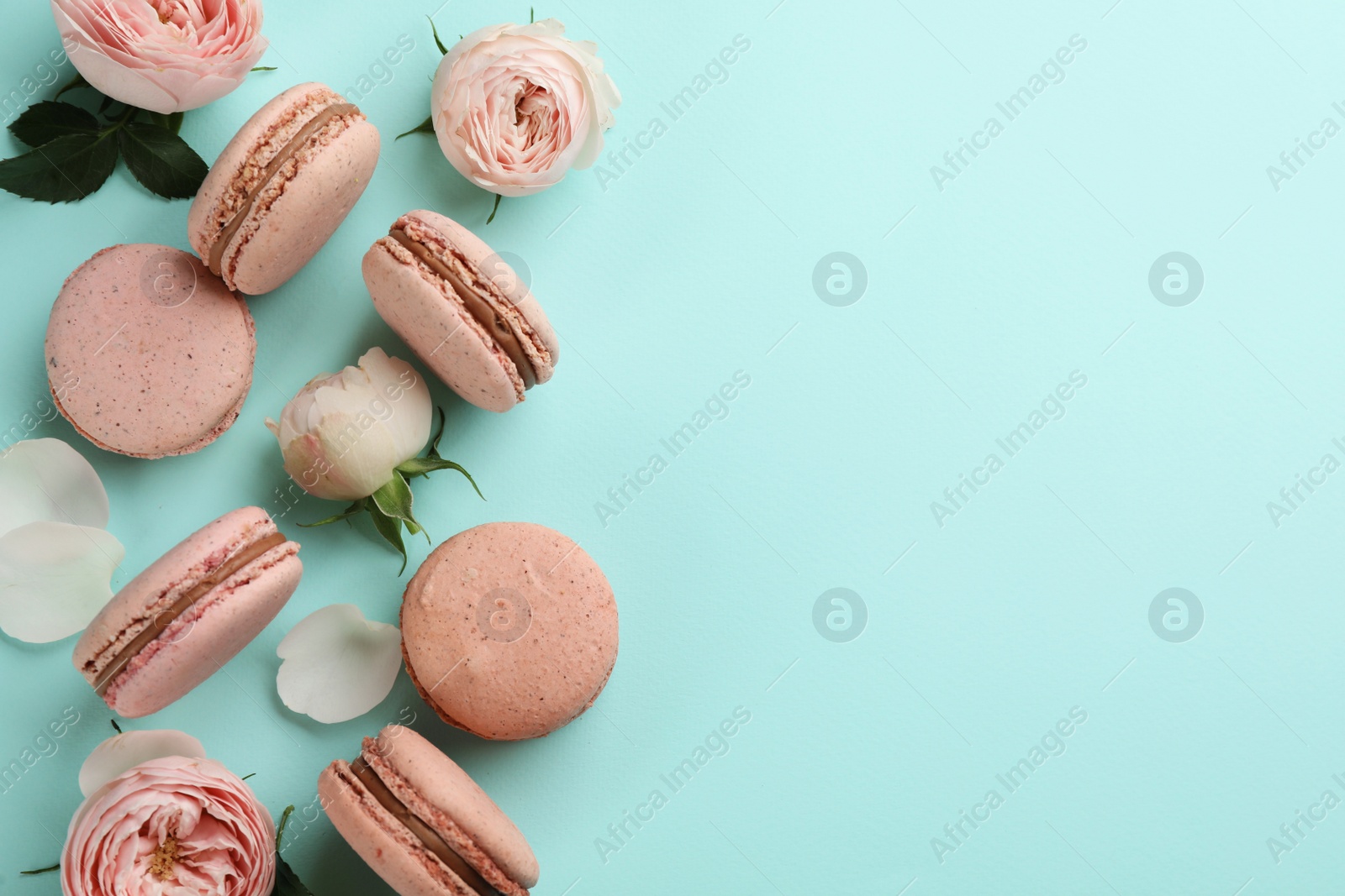 Photo of Flat lay composition with pink macarons and roses on light blue background. Space for text