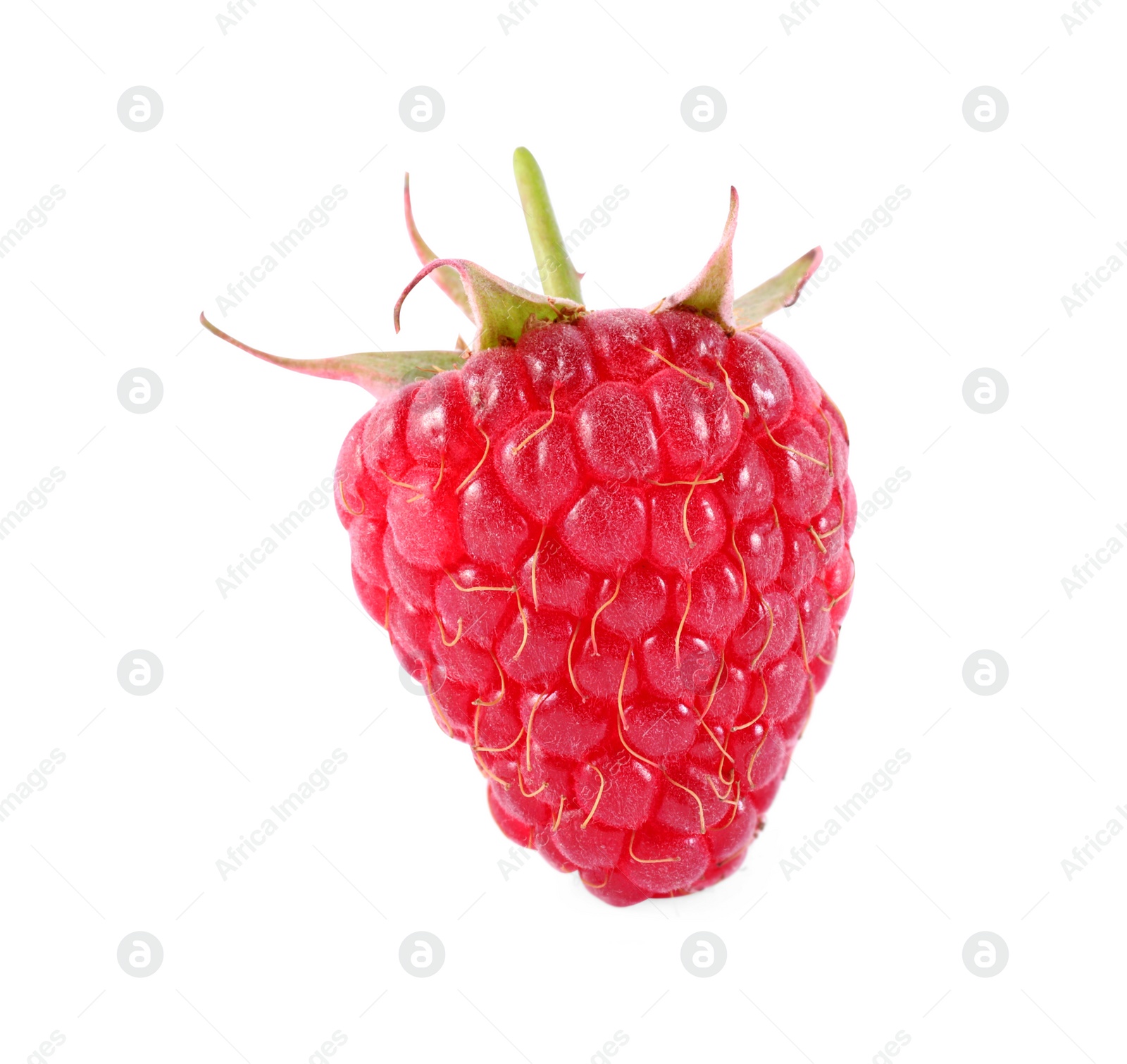 Photo of One tasty ripe raspberry isolated on white