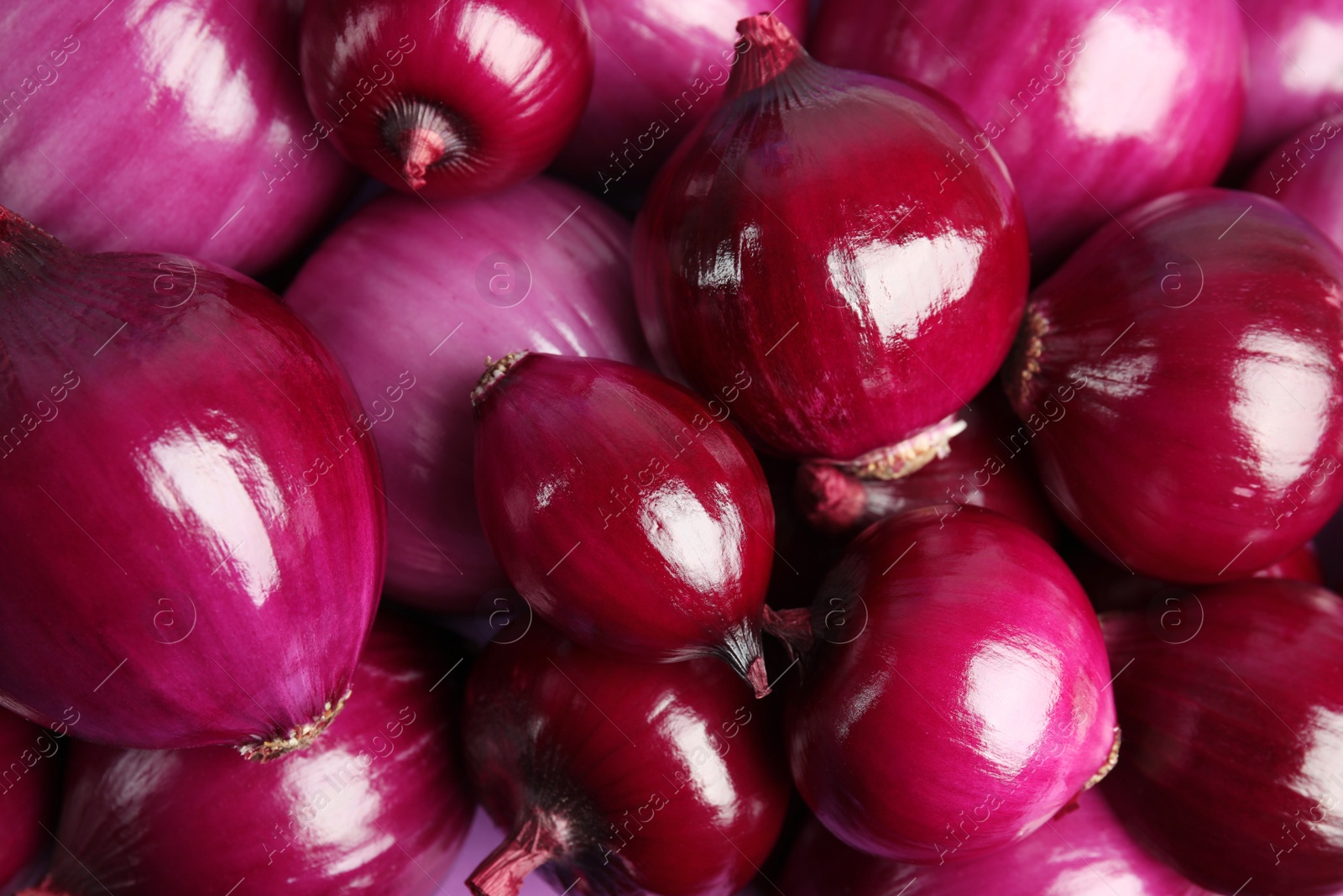 Photo of Pile of fresh red onions as background, closeup