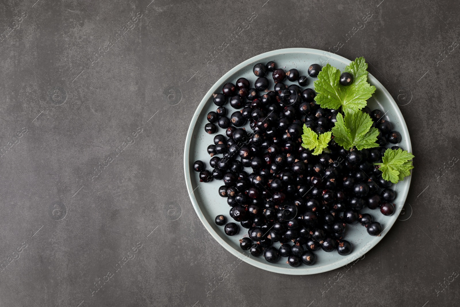 Photo of Plate with ripe blackcurrants and leaves on grey background, top view. Space for text