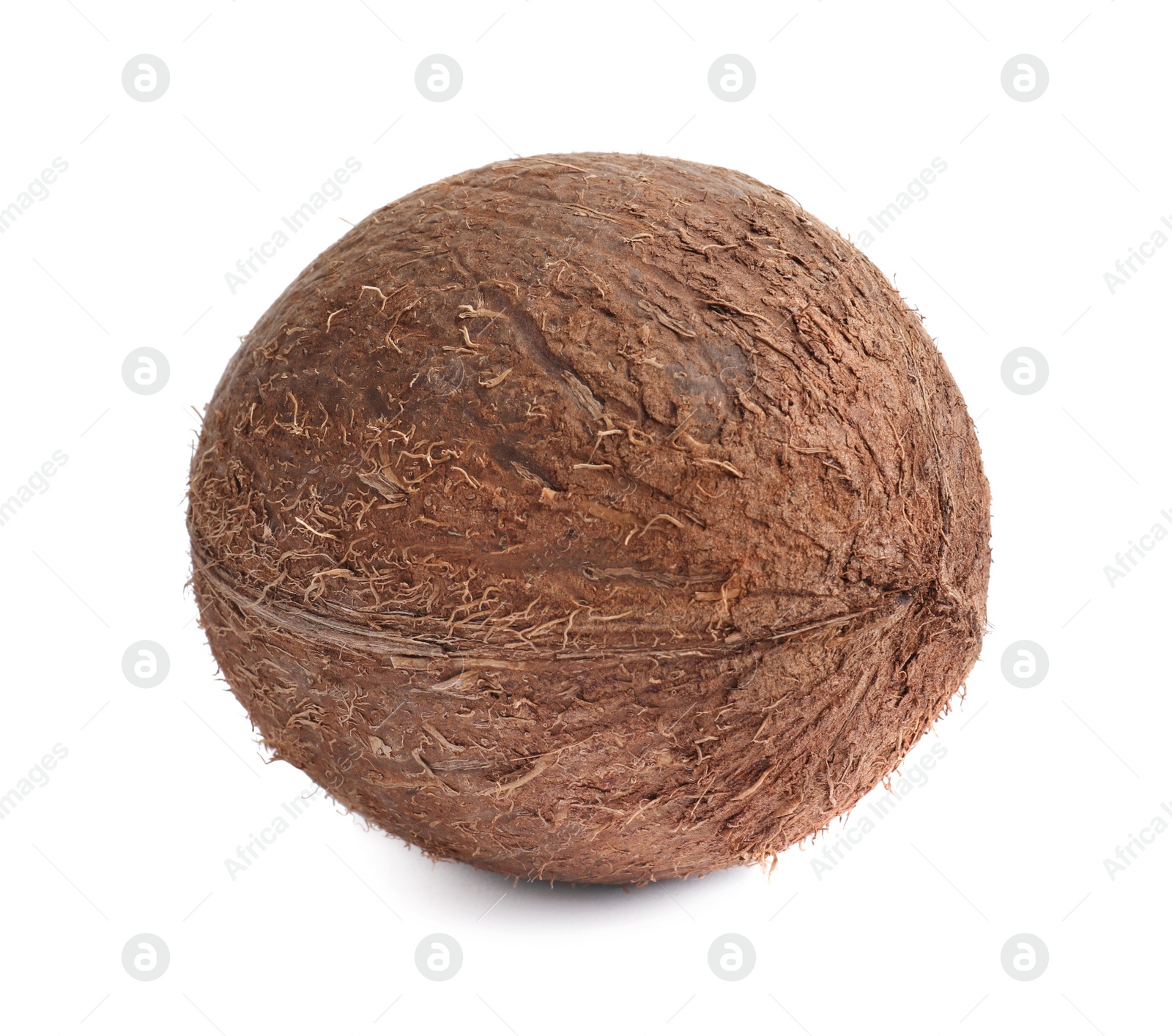 Photo of Fresh ripe whole coconut isolated on white