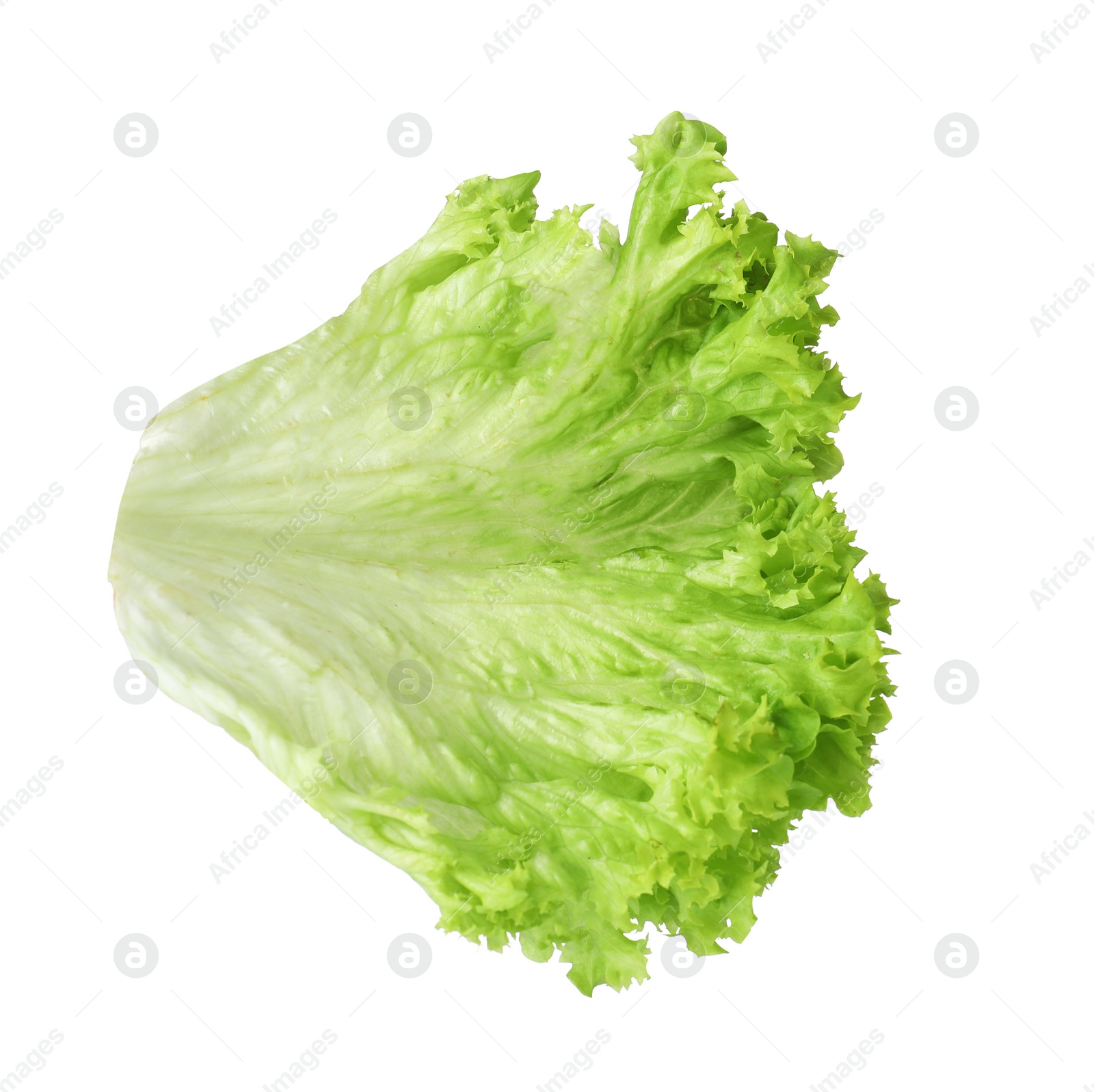 Photo of Leaf of fresh lettuce for burger isolated on white, top view