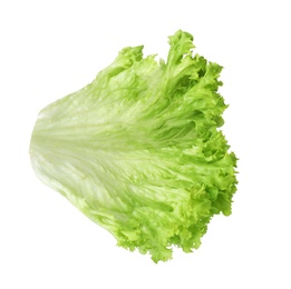 Photo of Leaf of fresh lettuce for burger isolated on white, top view