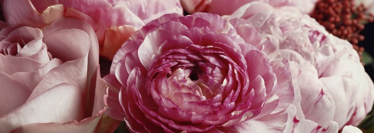 Image of Beautiful bouquet of different flowers, closeup. Banner design