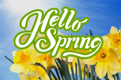 Image of Hello Spring. Beautiful flowers outdoors on sunny day 