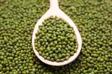 Spoon with green mung beans, closeup view