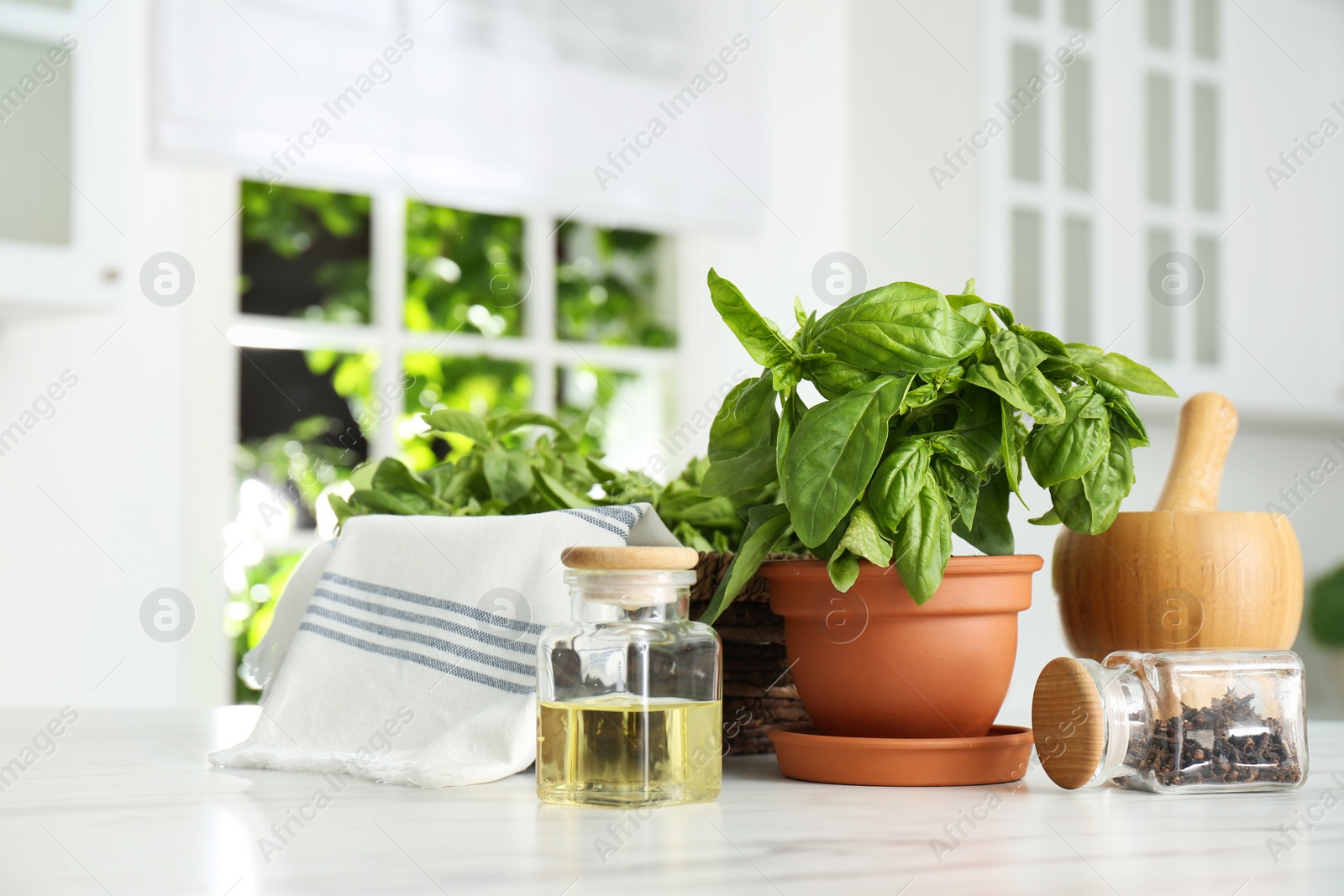 Photo of Fresh green basil in pot on white marble table in kitchen